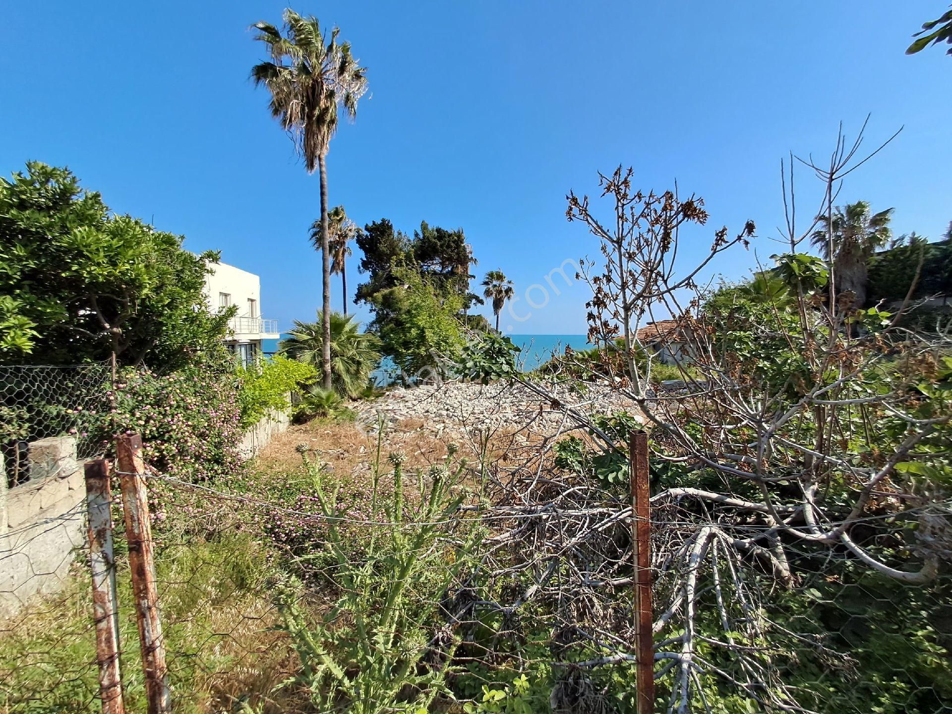 Denize Sıfır!!! Karataşa'ta Satılık 1.005m² Arsa - Görsel 8