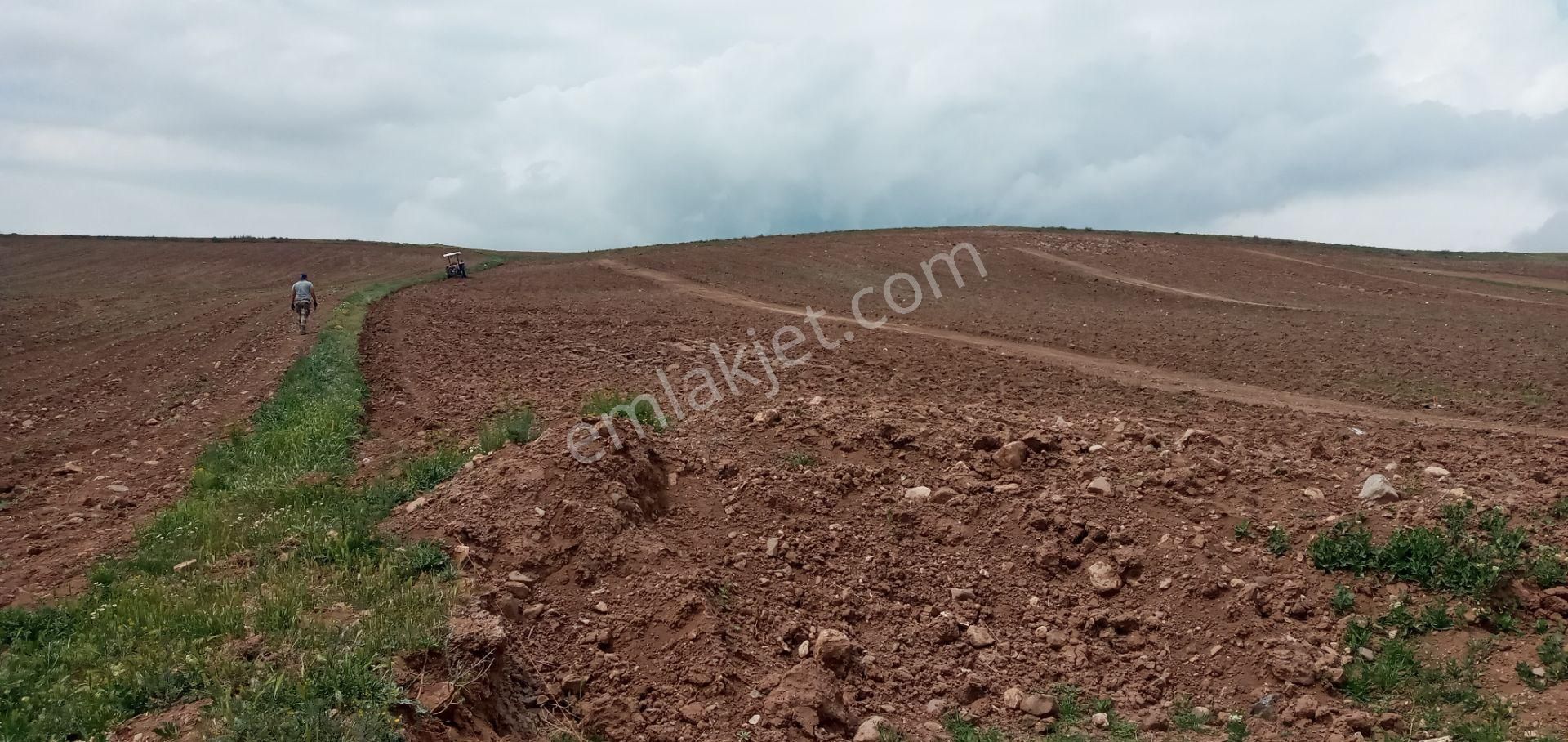 Yılmaz Gayrimenkulden Yeni Projemizde 2 Aya Teslım 270 Metre Kare Hobı Bahcesı