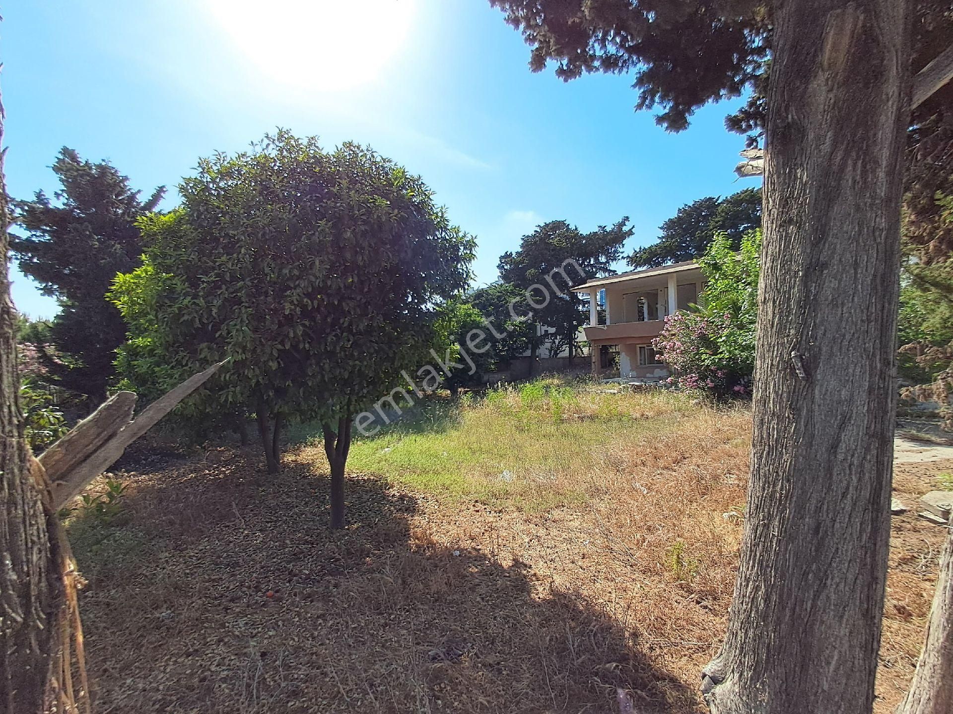 Gms Emlak'tan Karataş'ta Fırsat Konumda Denize 3. Parsel Satılık 1 Dönüm Arsa - Görsel 14