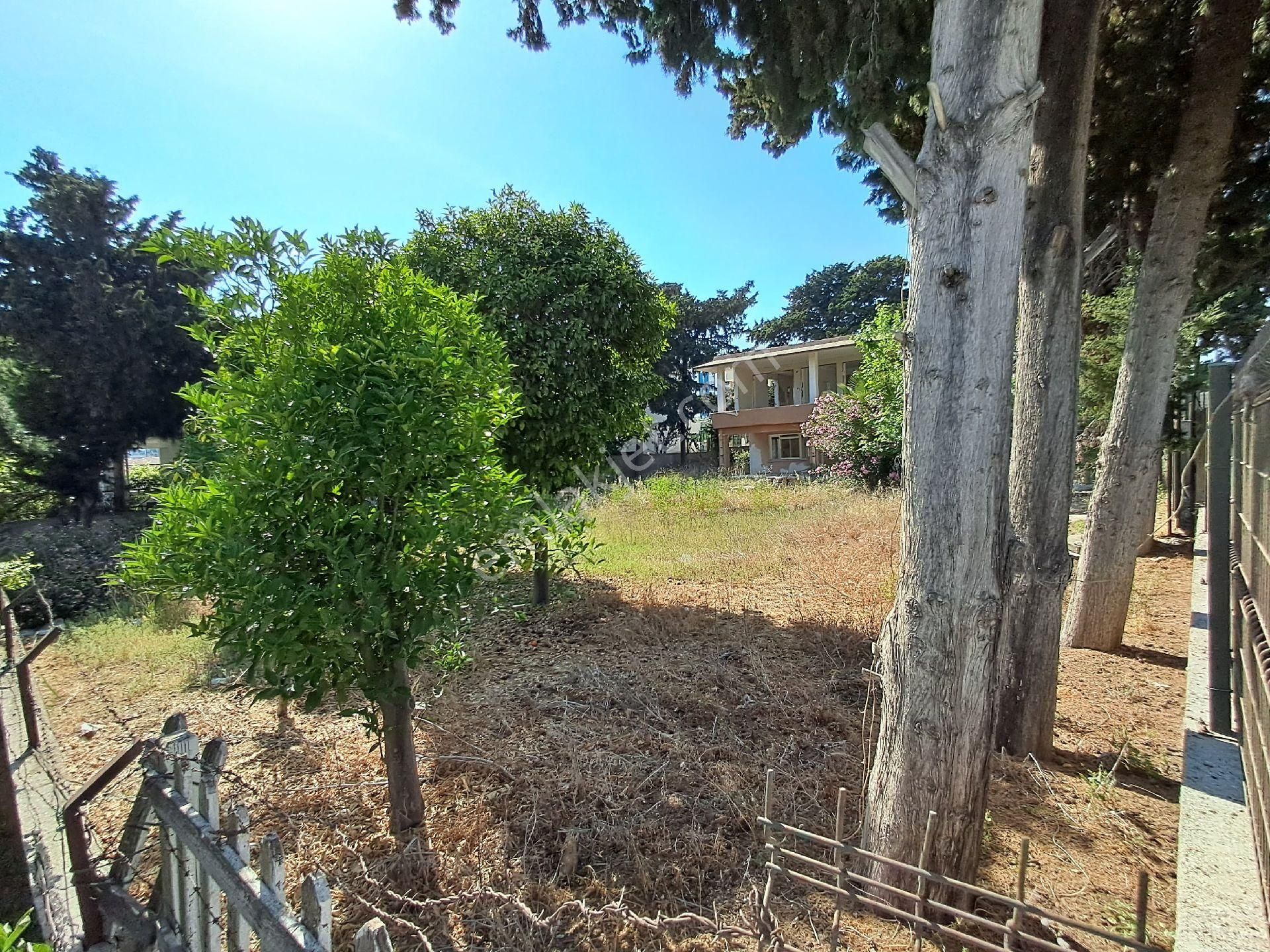 Gms Emlak'tan Karataş'ta Fırsat Konumda Denize 3. Parsel Satılık 1 Dönüm Arsa - Görsel 13