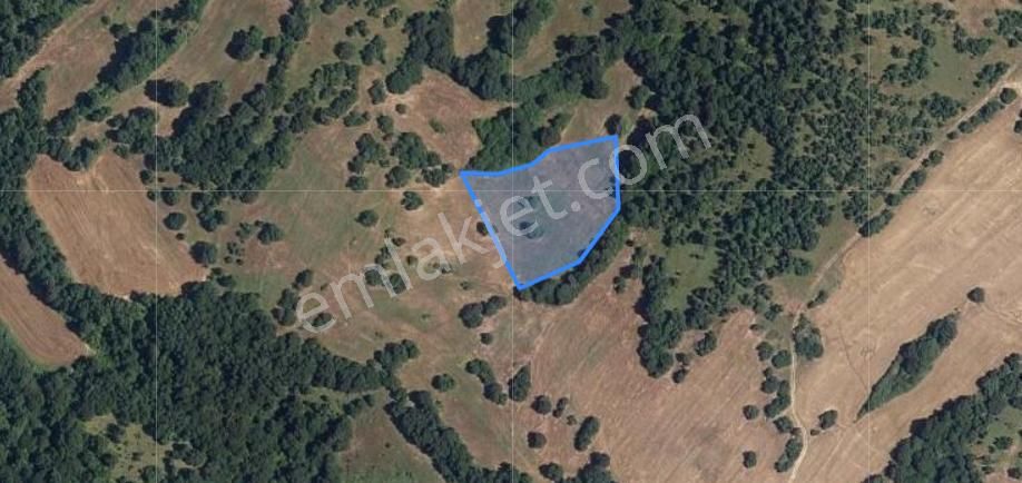 Acil! Kofçaz Kocatarla Köyünde Müstakil 5807 M2 Tarla