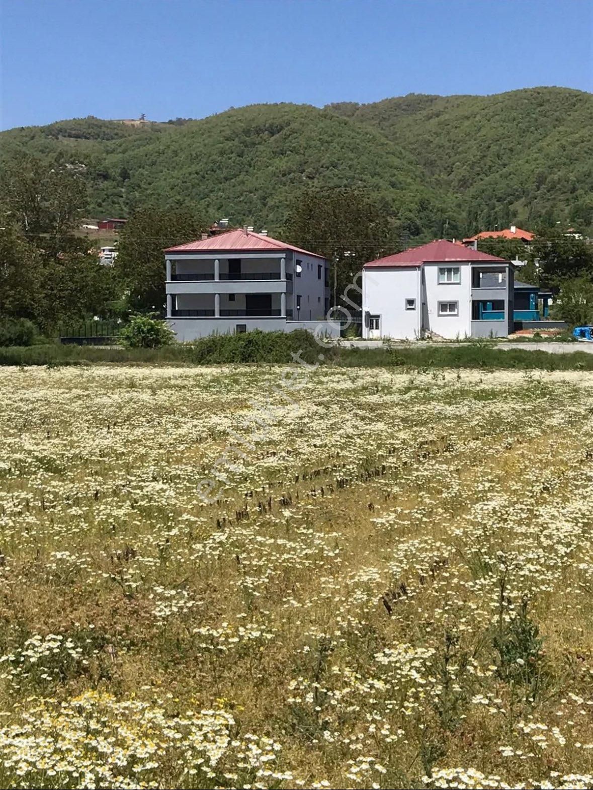 📣📣📣aydın Kuyucak Sarıcaova Mahallesinde Satılık 6,350 M2 Arazi📣📣📣