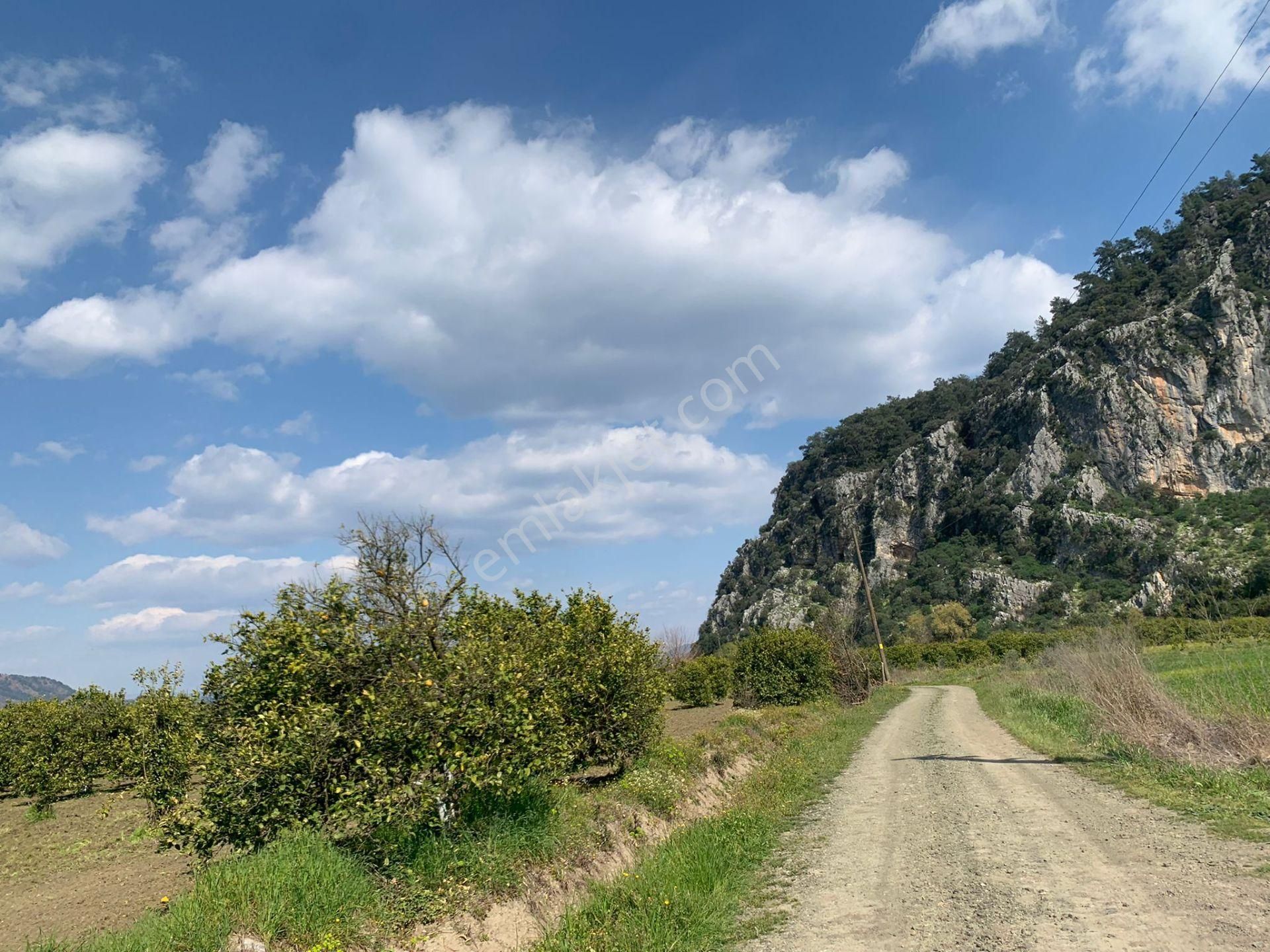 Muğla Dalyan Marmarlı Da 1500 M2 Arsa Satılık - Görsel 5