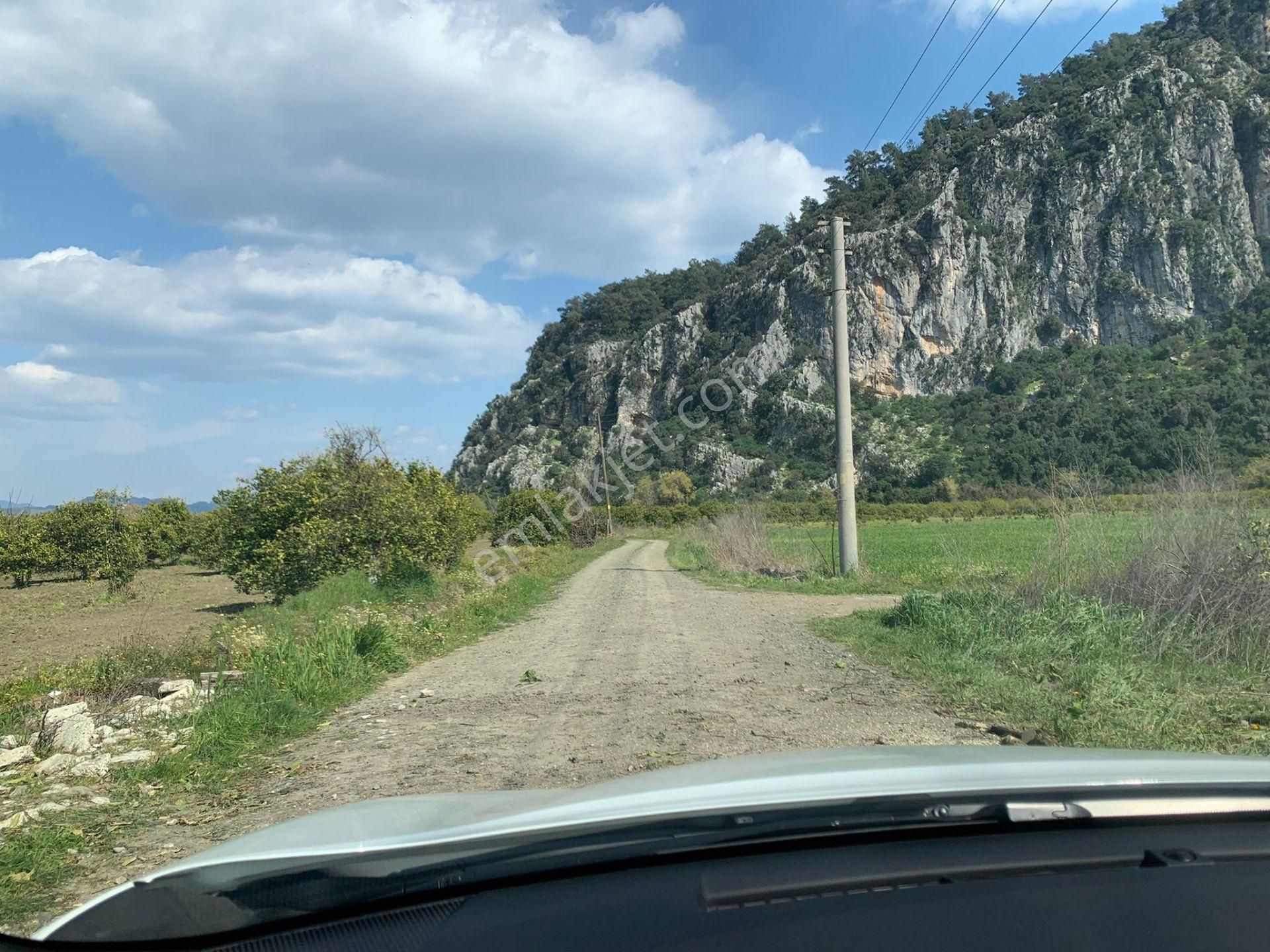 Muğla Dalyan Marmarlı Da 1500 M2 Arsa Satılık - Görsel 3