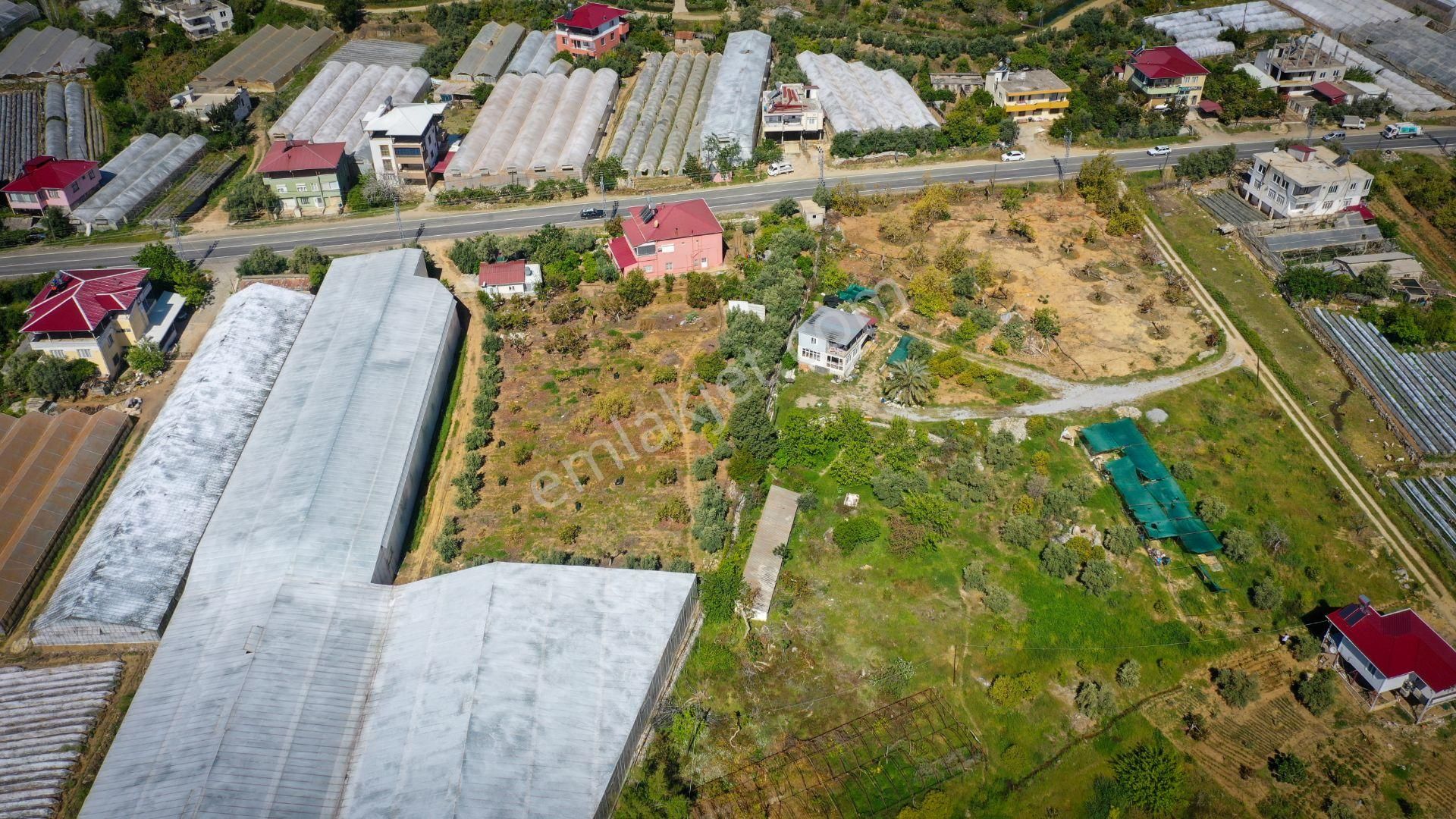 Mersin Anamur Köprübaşı Satılık Dubleks Ev Ve Tarla - Görsel 18