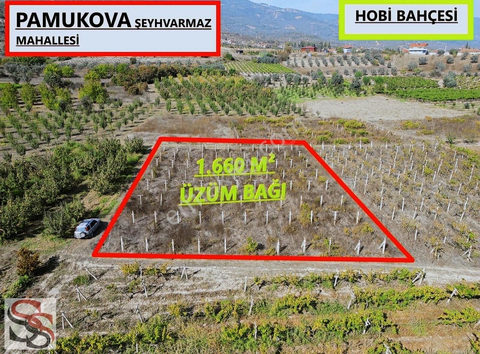 Pamukova Şeyhvarmaz Mah Muhteşem Konumda 1.598 M² Üzüm Bağı