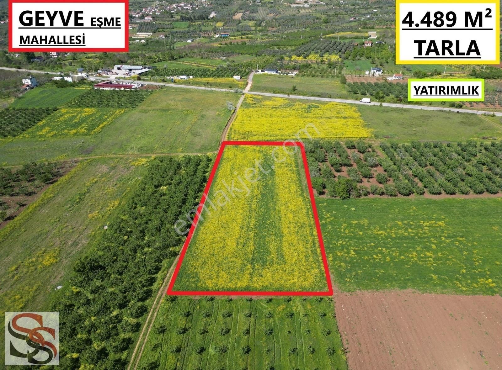Geyve Eşme Mahallesi Muhteşem Konumda Yatırımlık 4.489 M² Tarla