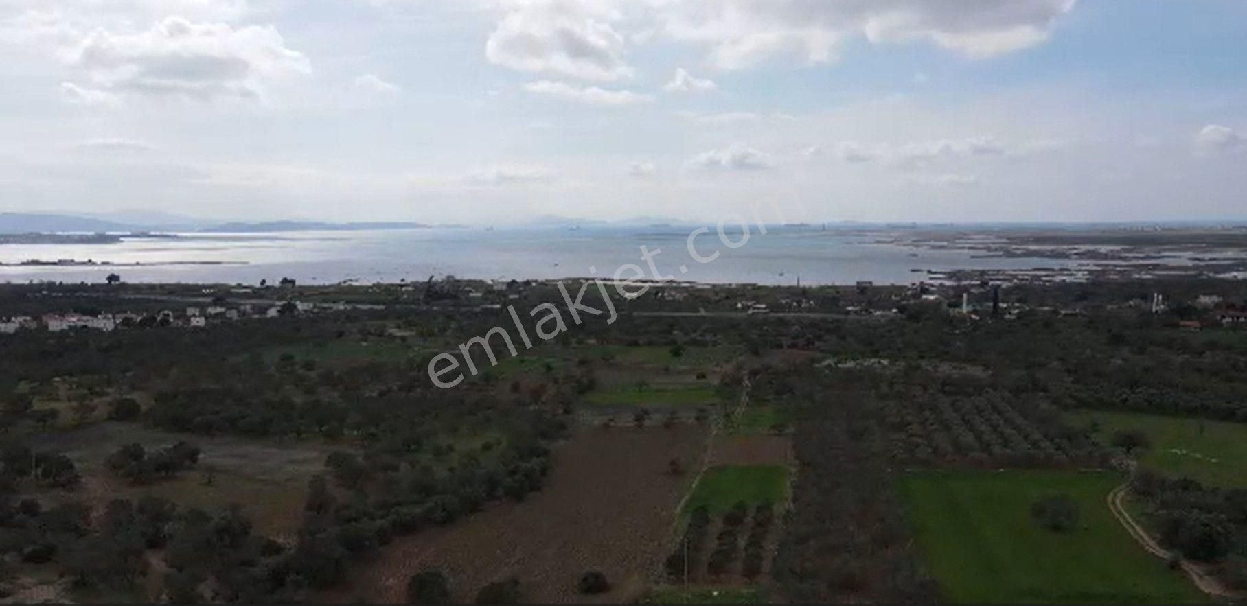 Çandarlı Yolu Mavikent Yanı Deniz Manzaralı Villa İmarlı 300m2 Arsa - Görsel 2