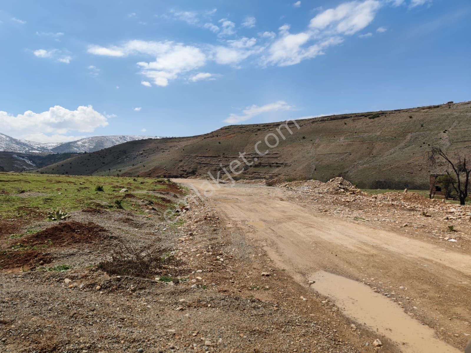 Arıkandan Mollakasımda 2700m2 Yatırımlık Arazi