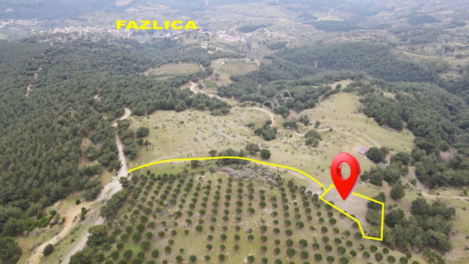 Kaz Dağları'nda 1561 M² Tarla: Nefes Kesen Manzara!
