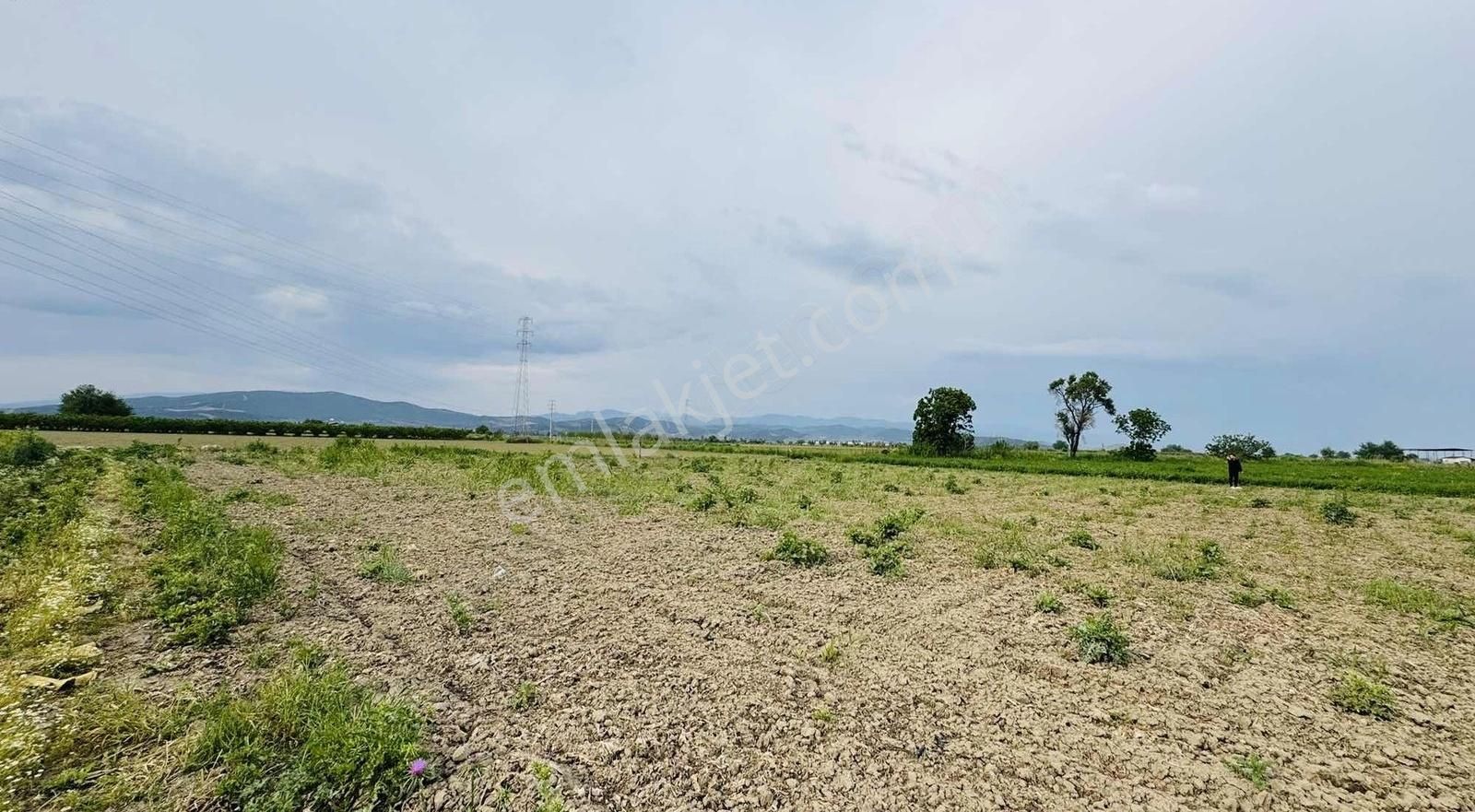 Şehitlerde Köy Merkezine Yürüme Mesafesinde Olan Tarla 1725 M2