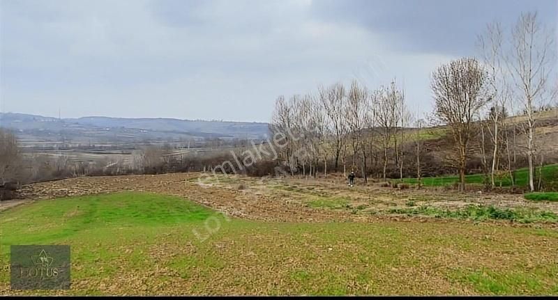 Fırsat Fiyat!!kandıra Sinanlıbilalli Toplulaştırmada 553m2 Tarla
