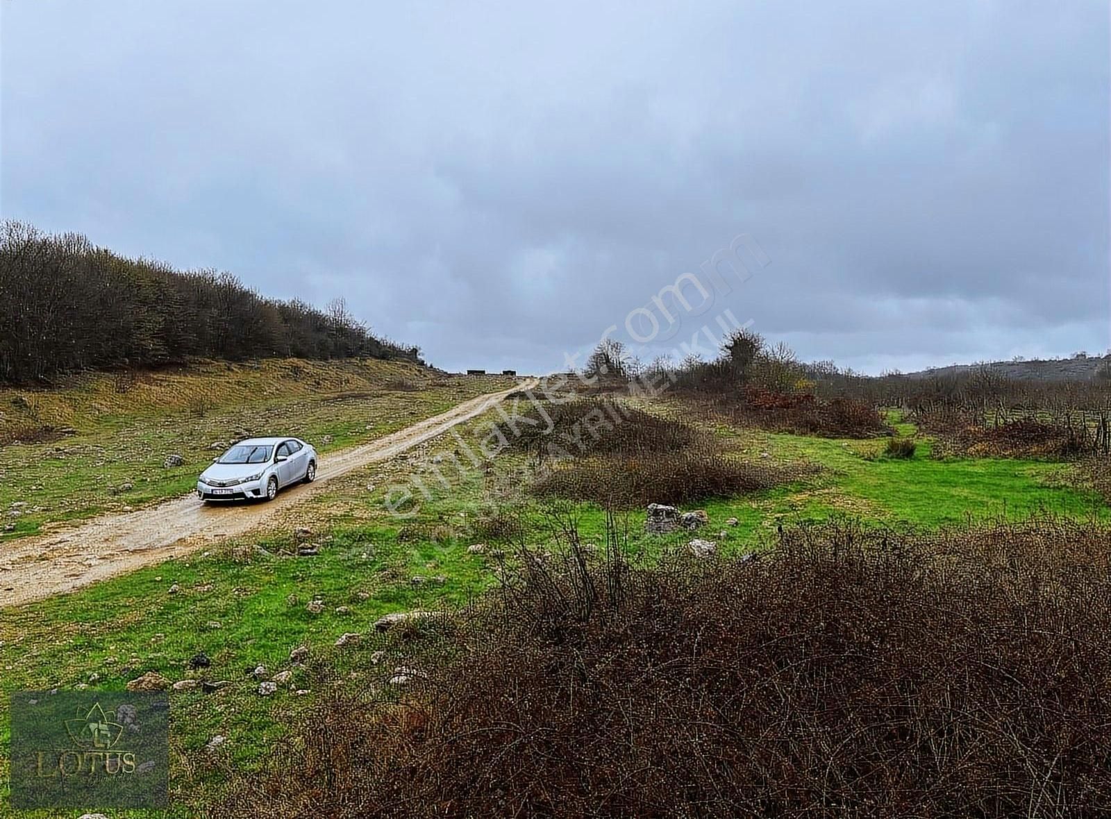 Kandıra Çalköy Seyrek Sahile 5km Mesafede Turizm Merkezli Arazi