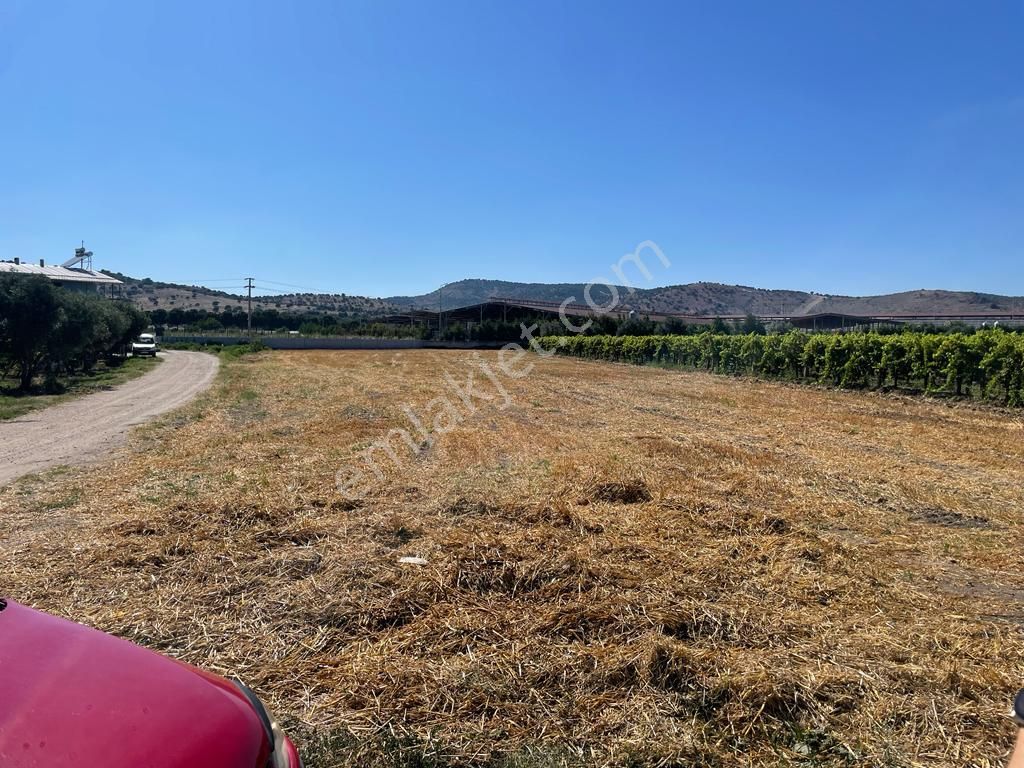 Yağcılarda Satılık 3.650 M2. Fırsat Tarla