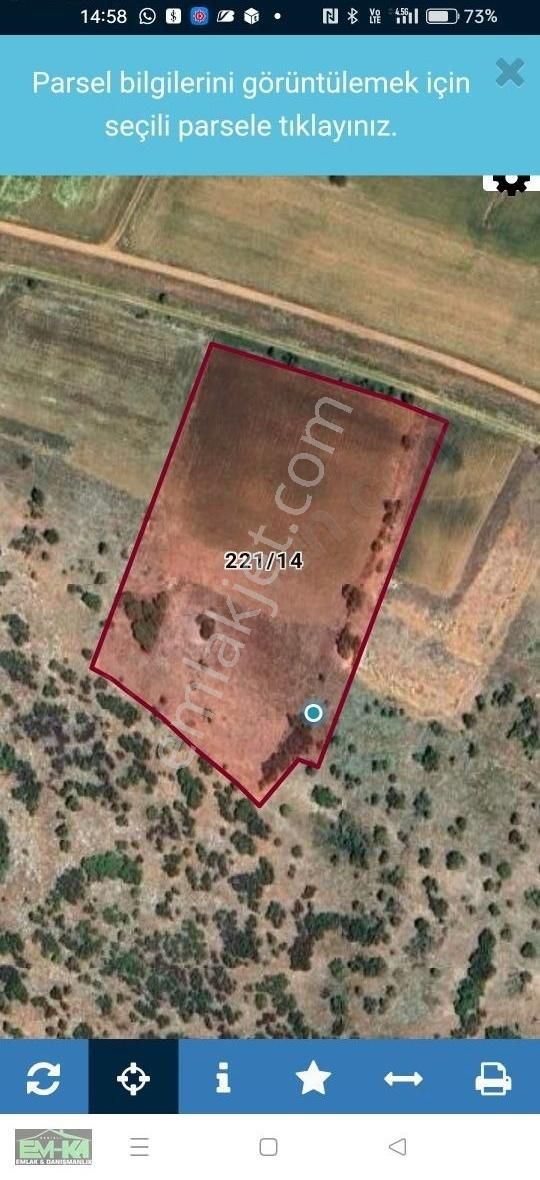 Em-ka Dan Tavas Garip Köyde 9395m2 Verimli Satılık Tarla - Görsel 5