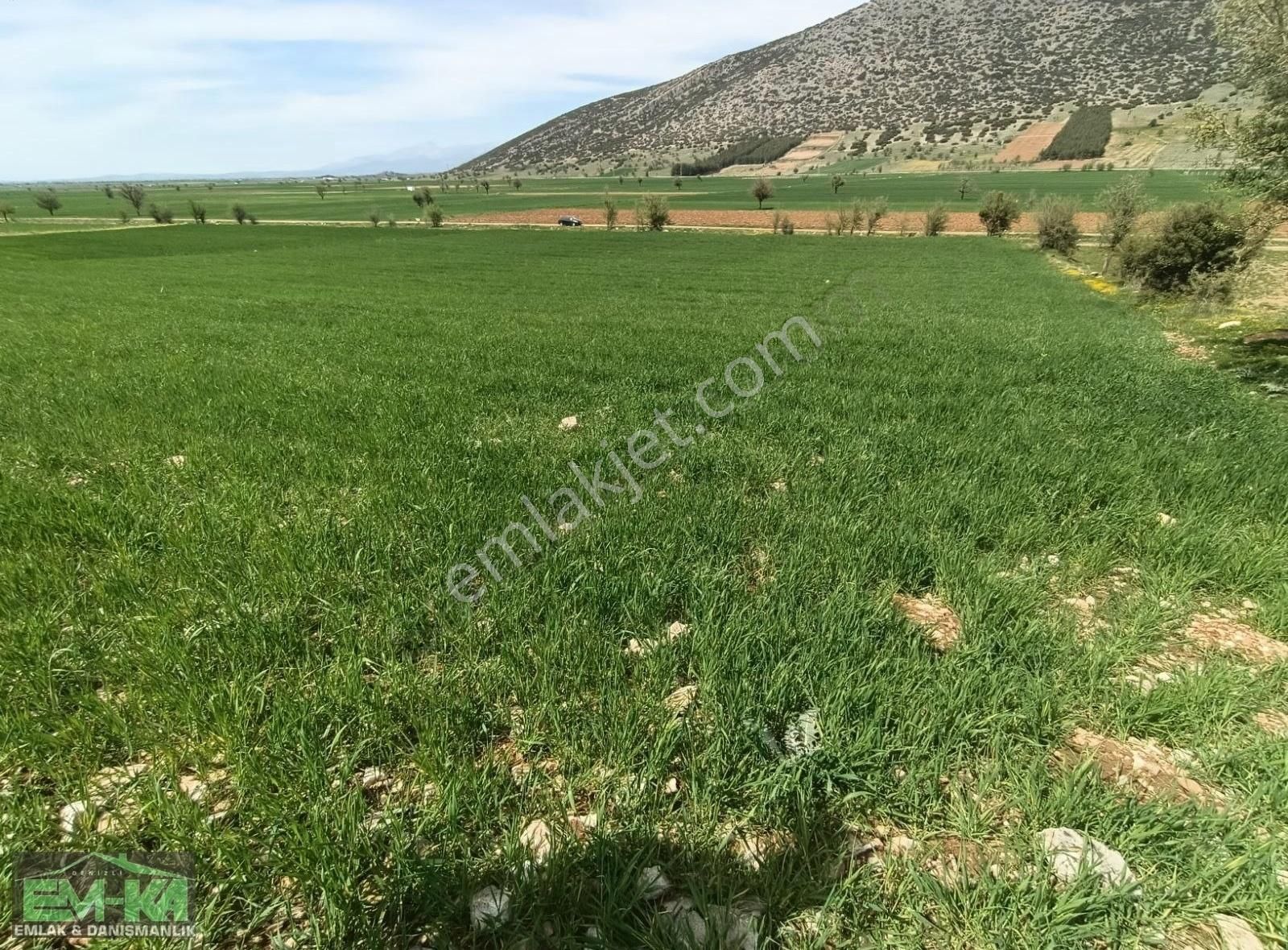 Em-ka Dan Tavas Garip Köyde 9395m2 Verimli Satılık Tarla - Görsel 2