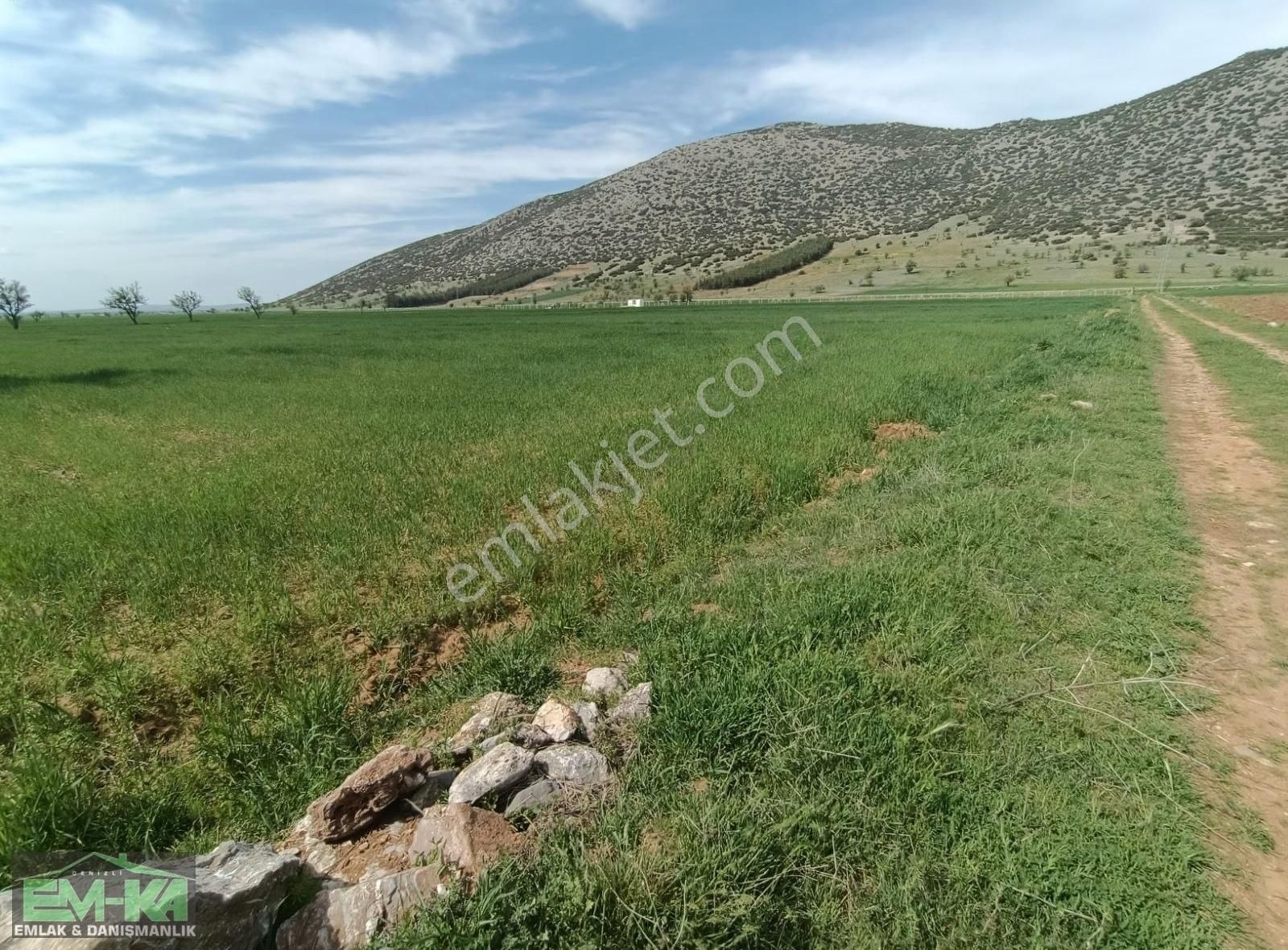 Em-ka Dan Tavas Garipköde Satılık 5300 M2 Tarla - Görsel 2