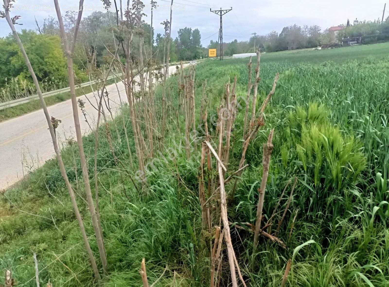 Brothersdan Pınarbası Tek Tapu 2650m2 İmar Dibinde Satılık Tarla