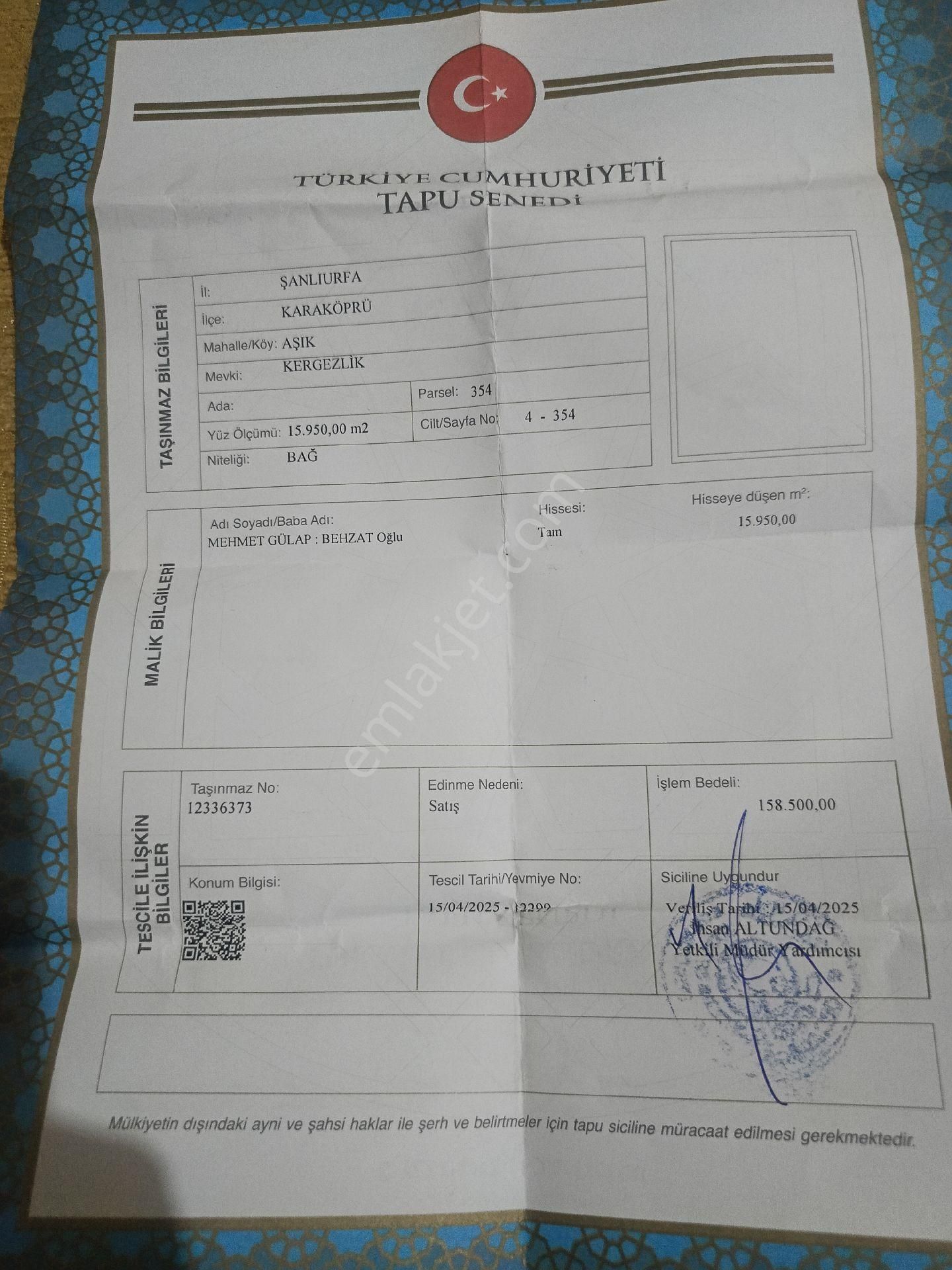 Yatırımlık Fıstık Bağı