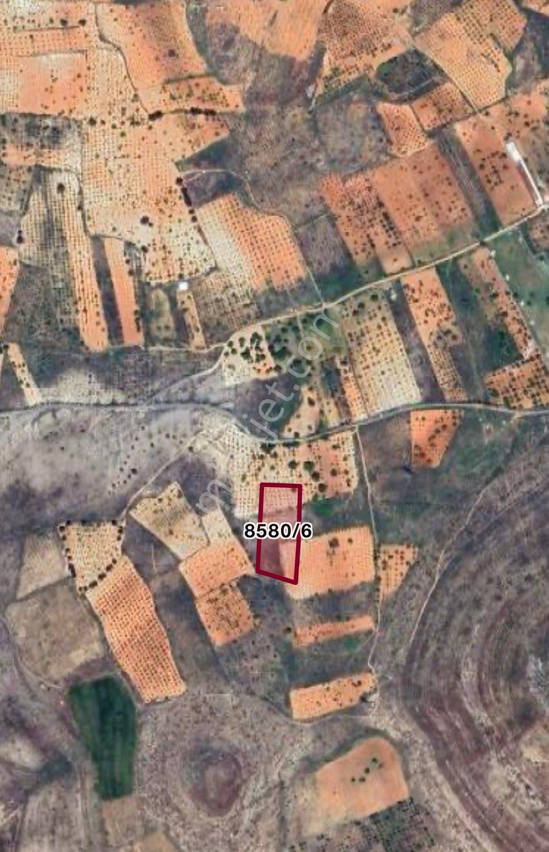 Sarı Salkımda Fırsat Arsa