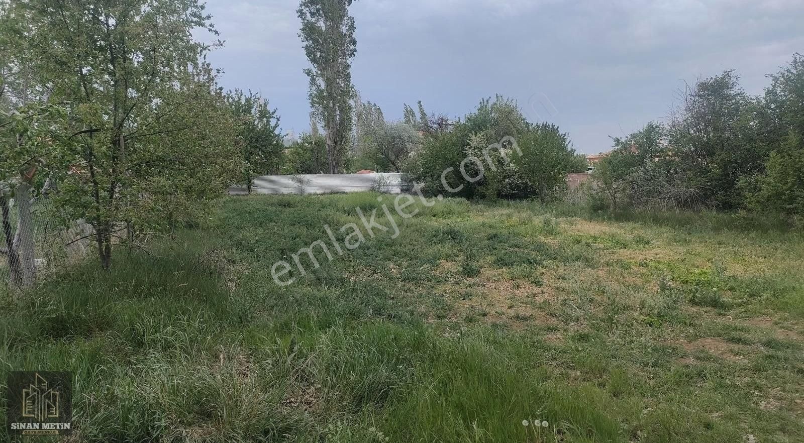 Çumra Küçüköyde Müstakil Tapu Bağ Arazisi - Görsel 12