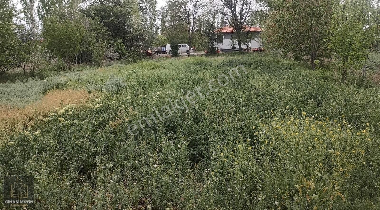 Çumra Küçüköyde Müstakil Tapu Bağ Arazisi - Görsel 3