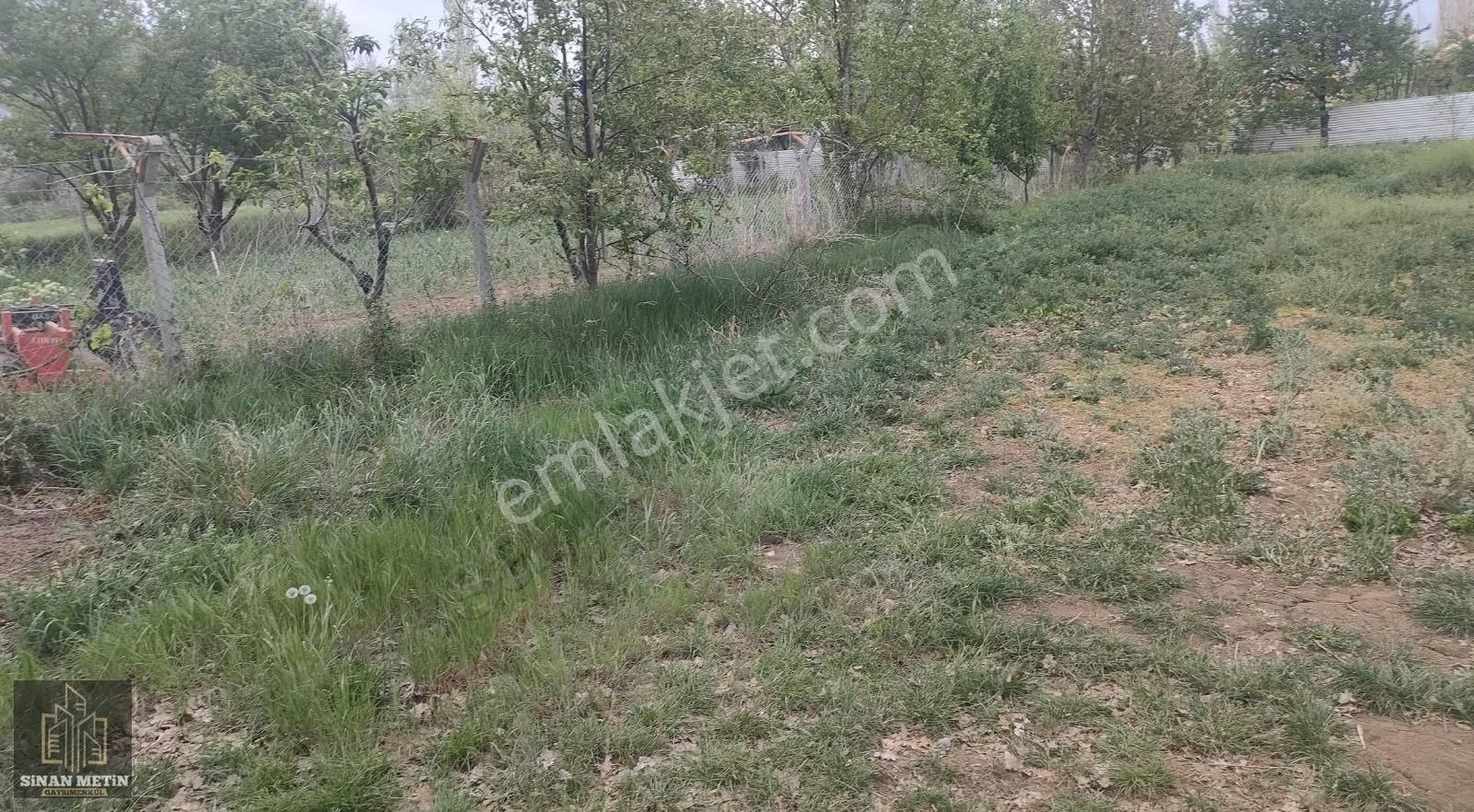 Çumra Küçüköyde Müstakil Tapu Bağ Arazisi - Görsel 21