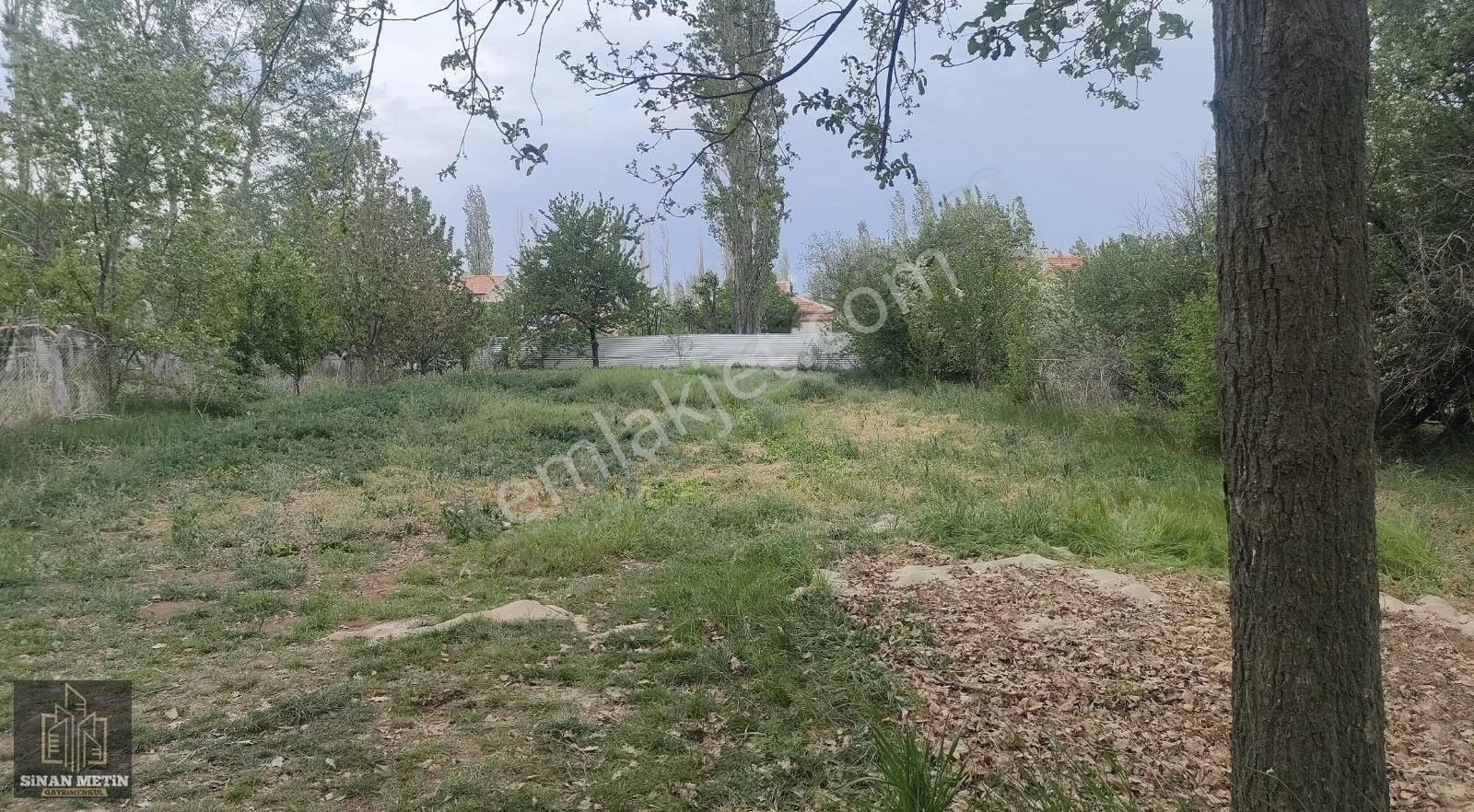 Çumra Küçüköyde Müstakil Tapu Bağ Arazisi - Görsel 5