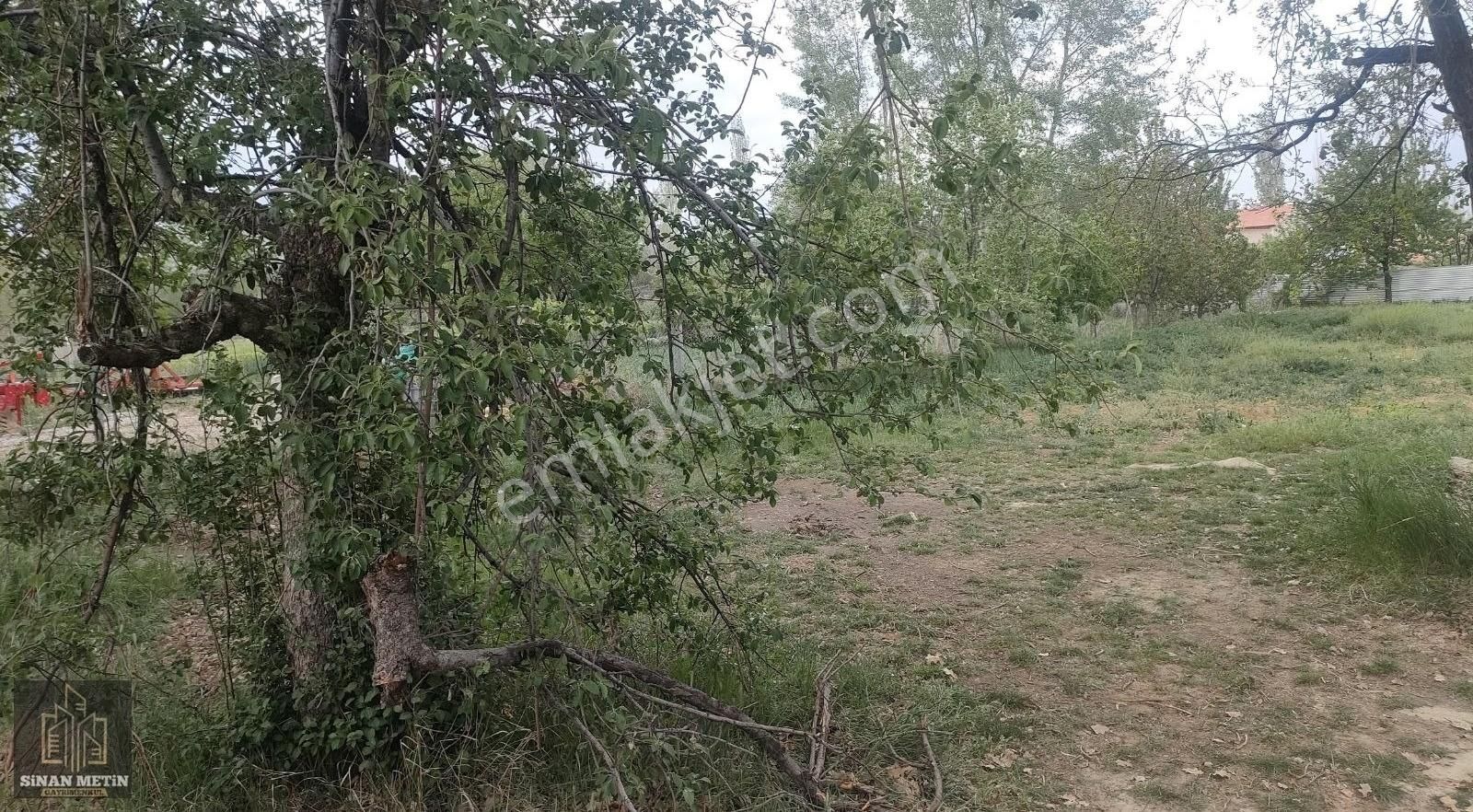 Çumra Küçüköyde Müstakil Tapu Bağ Arazisi