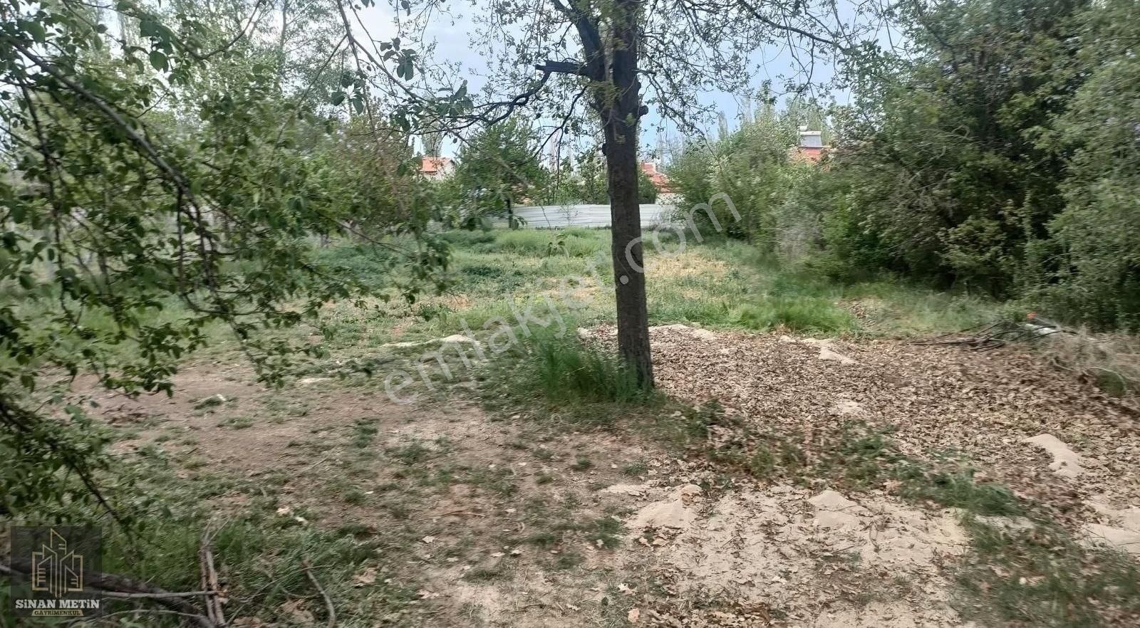 Çumra Küçüköyde Müstakil Tapu Bağ Arazisi - Görsel 23