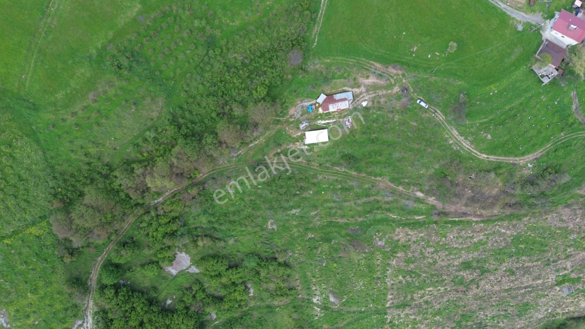 Canik Alibeyli Köyünde 11 Dönüm Fındık Ceviz Bahçesi Ve Bağ Evi