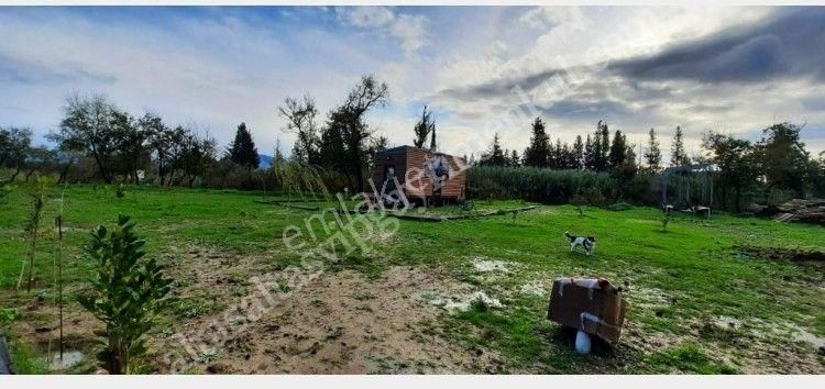 Altaş Emlak'tan Ortaca Fevziye'de 7500 M² Muhteşem Satılık Tarla Fırsatı - Görsel 11