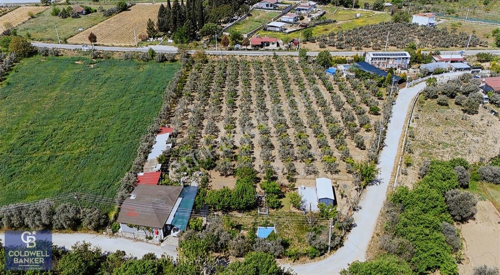 Menderes Coldwell Banker Poyraz'dan Değirmendere'de Kök Hisse..