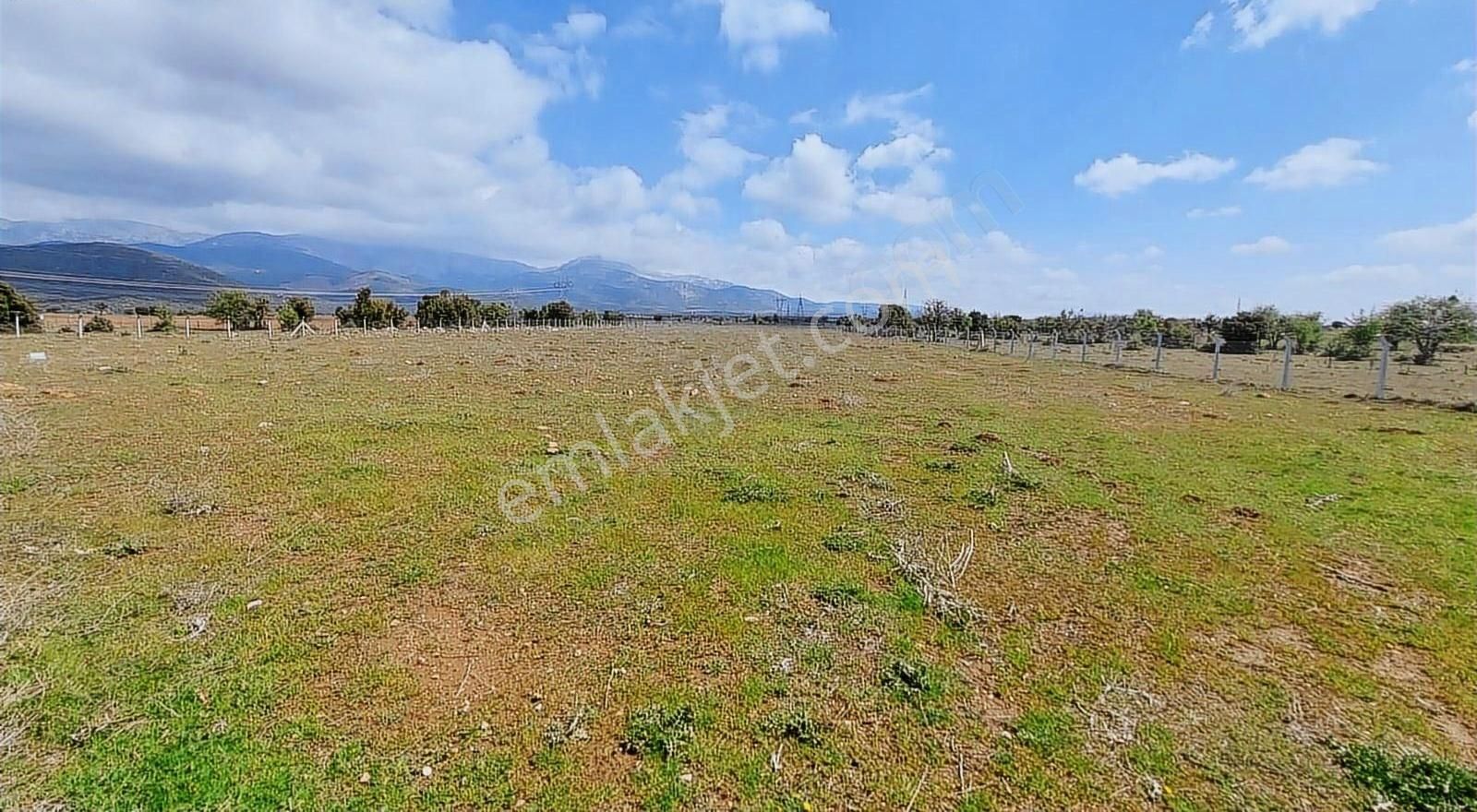 Tavas Karahisarda 21135 Metrekare Yatırımlık Arazi