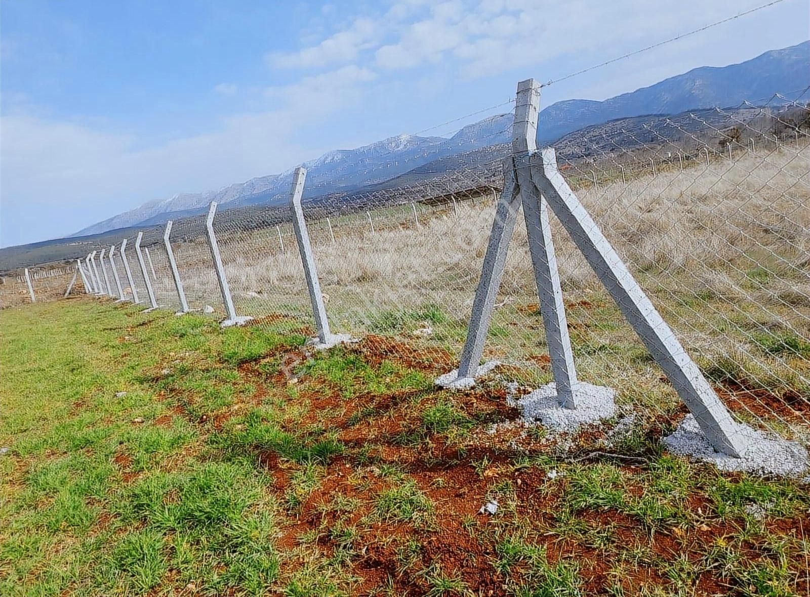 Tavas Yaka'da Yatırımlık Etrafı Çevrilmiş Satılık Arazi - Görsel 6