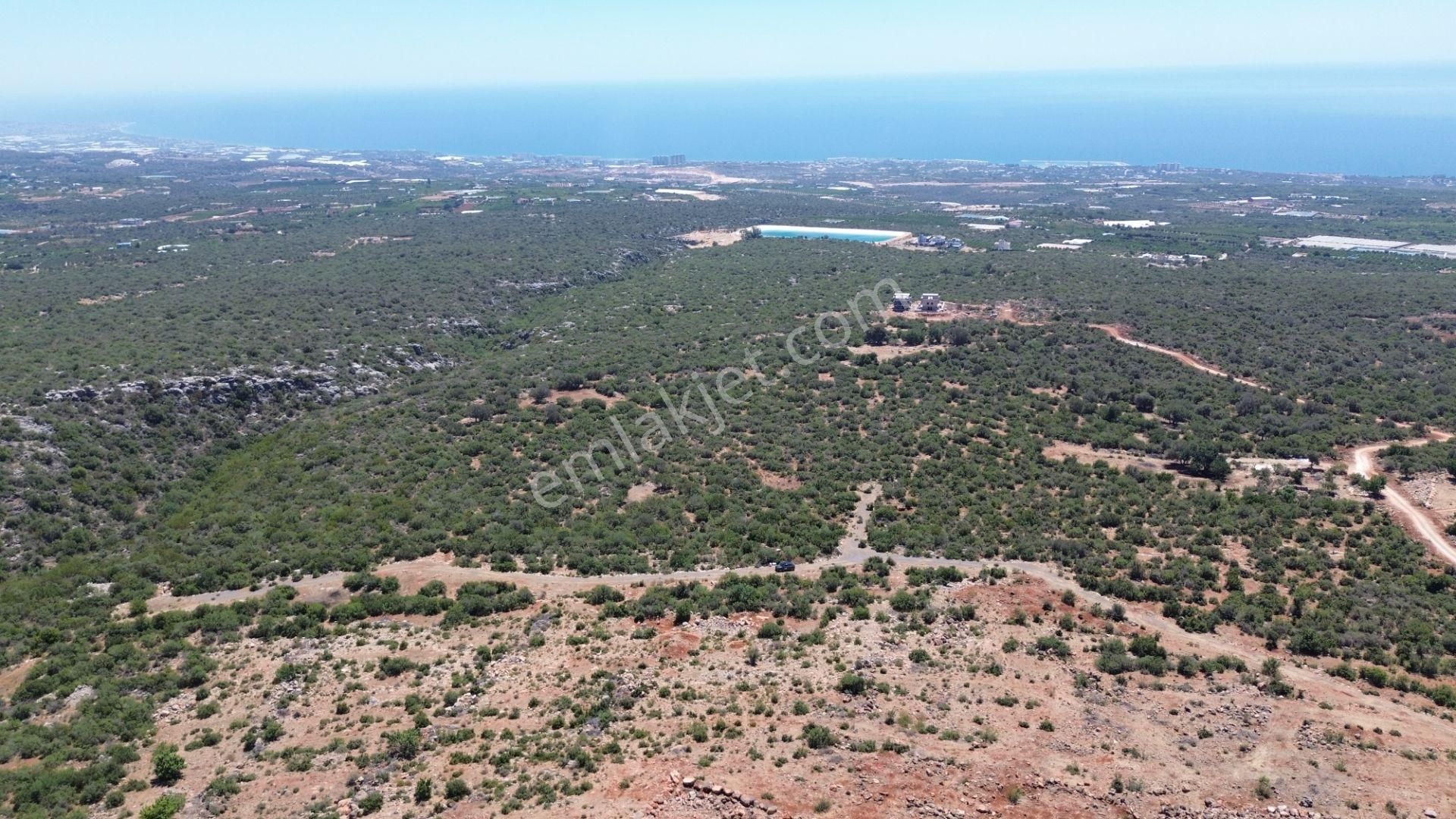 Erdemli Kumkuyu Çanakçı 795 M2full Deniz Manzaralı Villalık Arsa