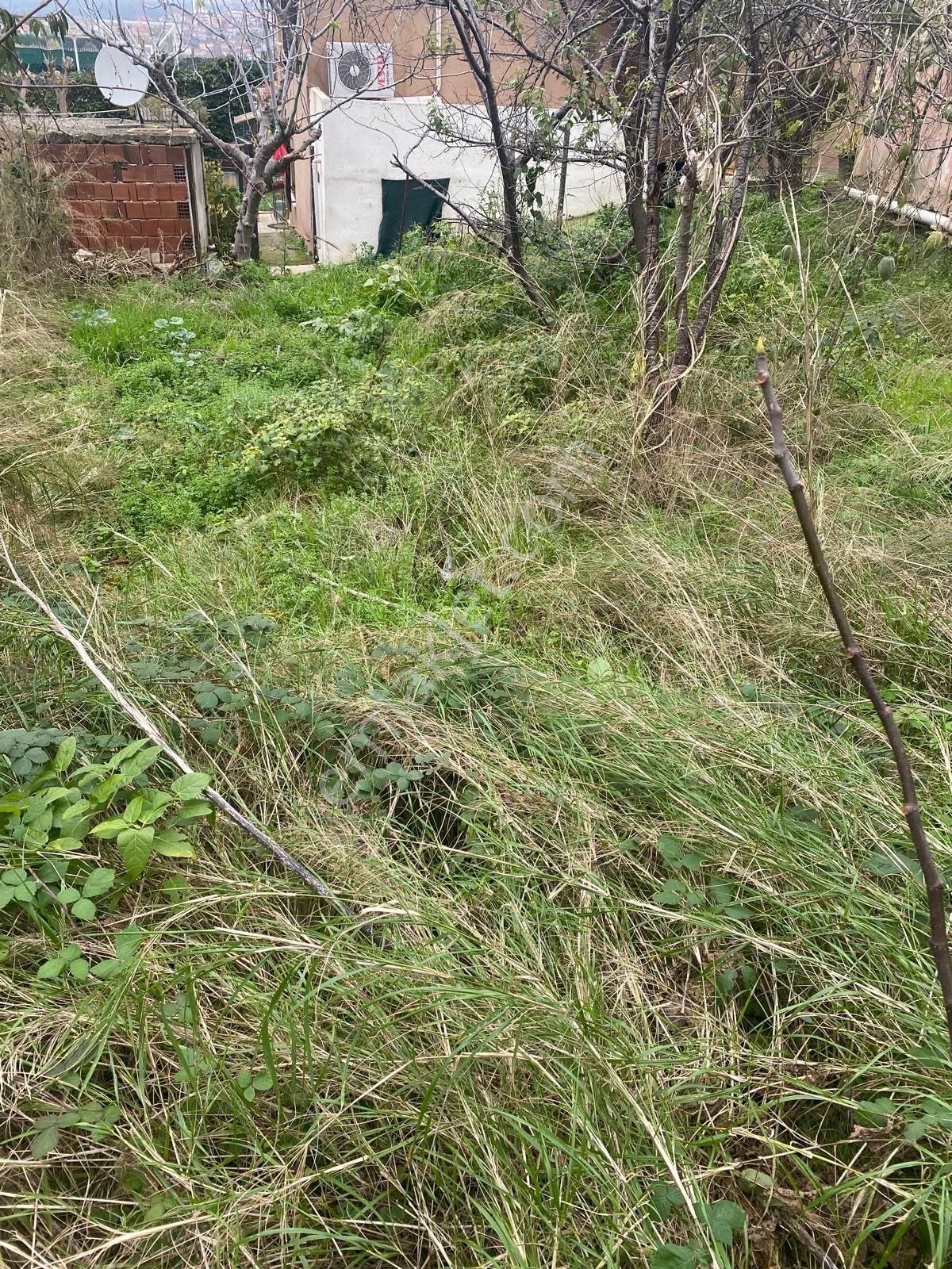 Balıkesir Sındırgı Mumcu 5.500 M2 Satılık Arazi