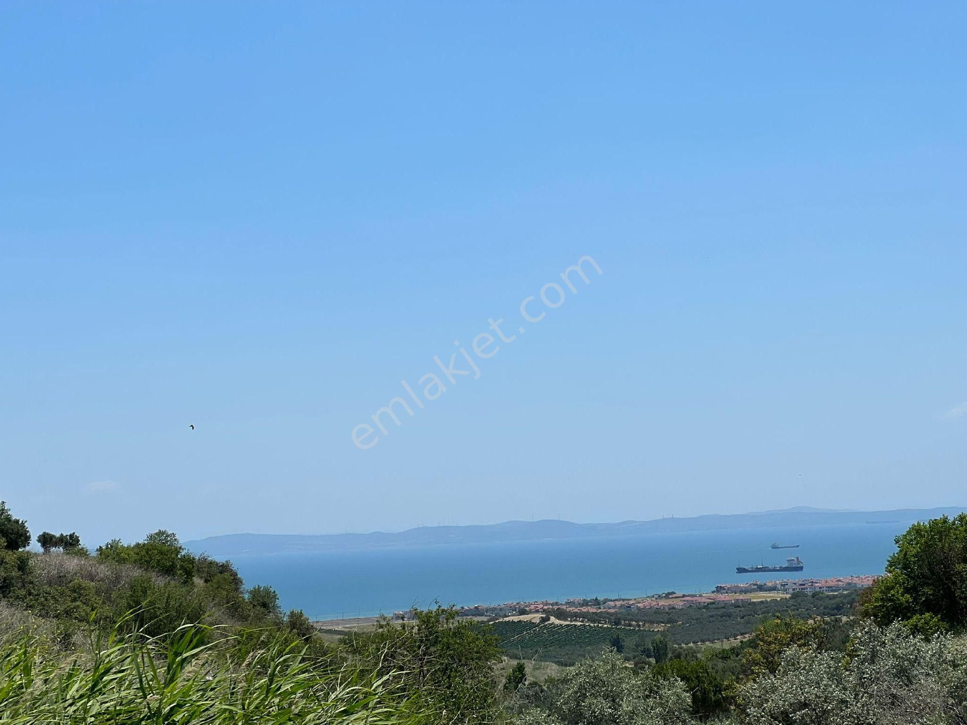 Şarköy İğdebağlar 18 Dönüm Tek Parça Deniz Manzaralı Müstakil Parsel Tarla Satılık