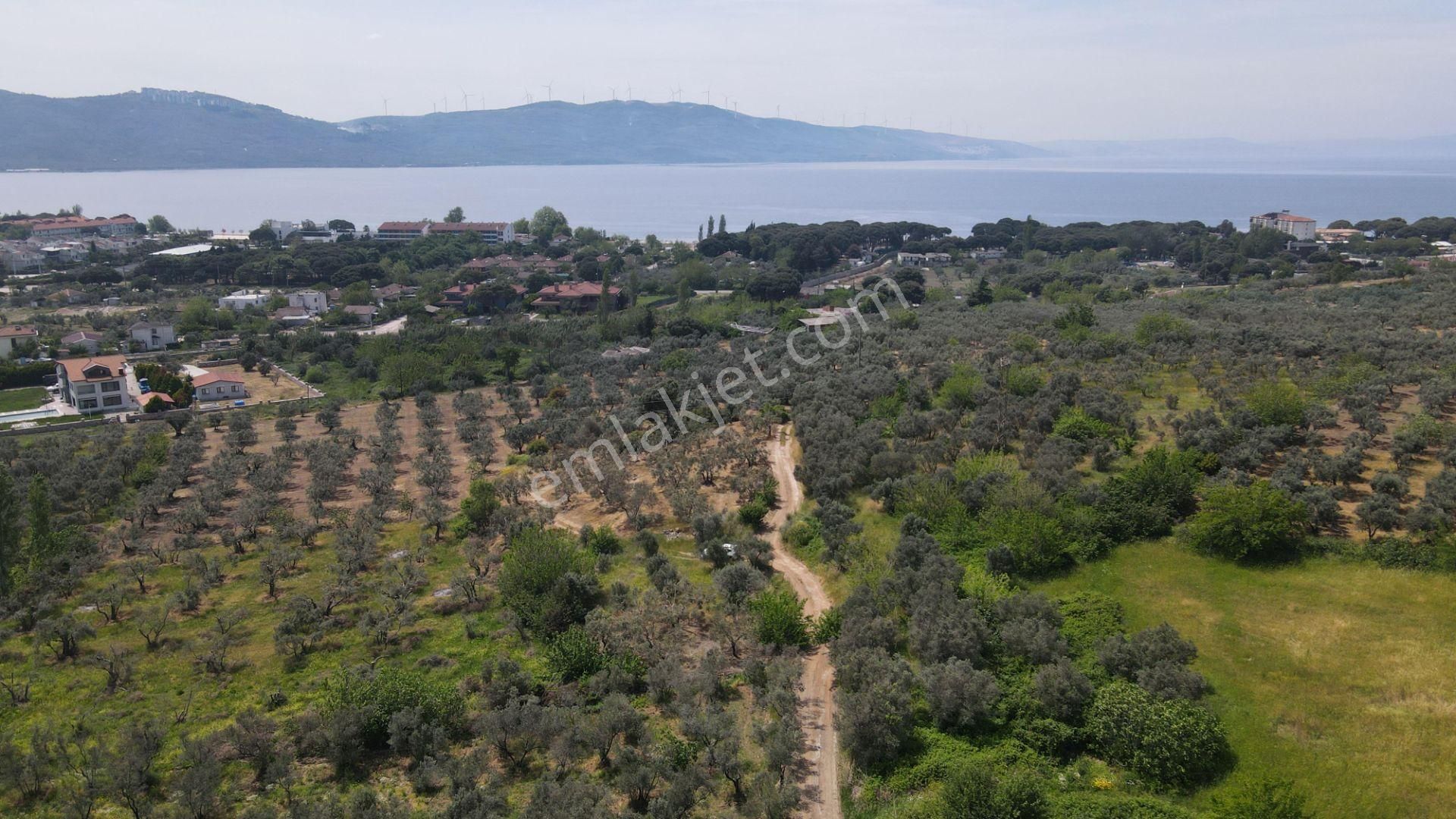Erdek Yalı Mahallesinde İmarlı 414 M² Satılık Arsa