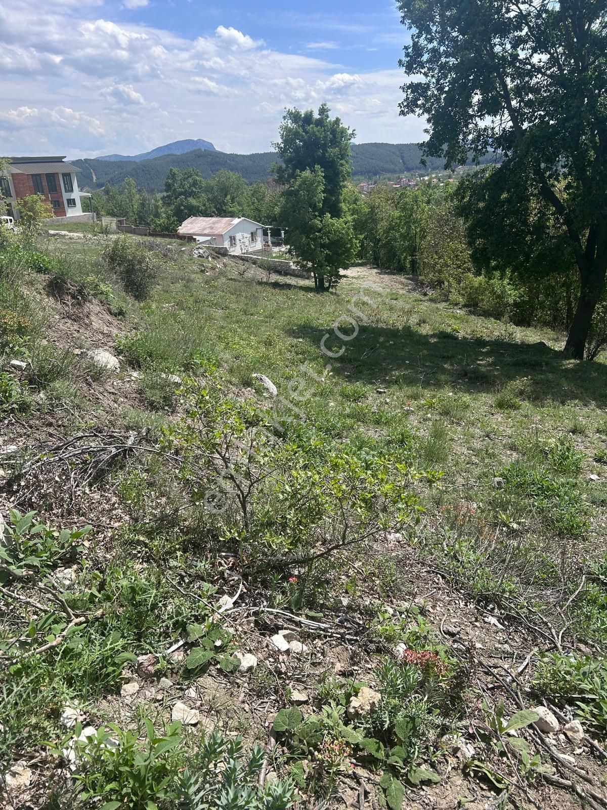 Asya Emlaktan Ağlasun Sakarca Mah De İmarlı Satılık Fırsat Arsa - Görsel 18