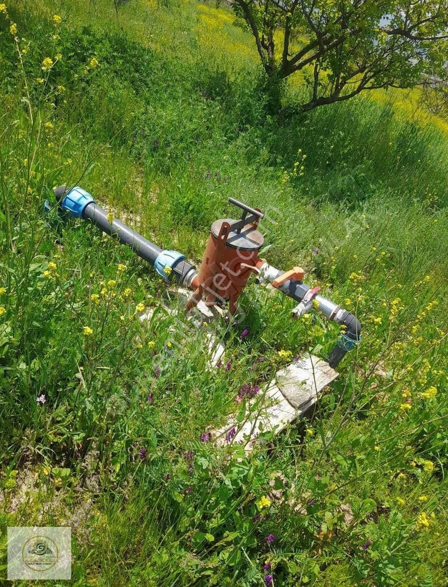 Çomaklıda Yatırımlık Yola Cephe Tarla