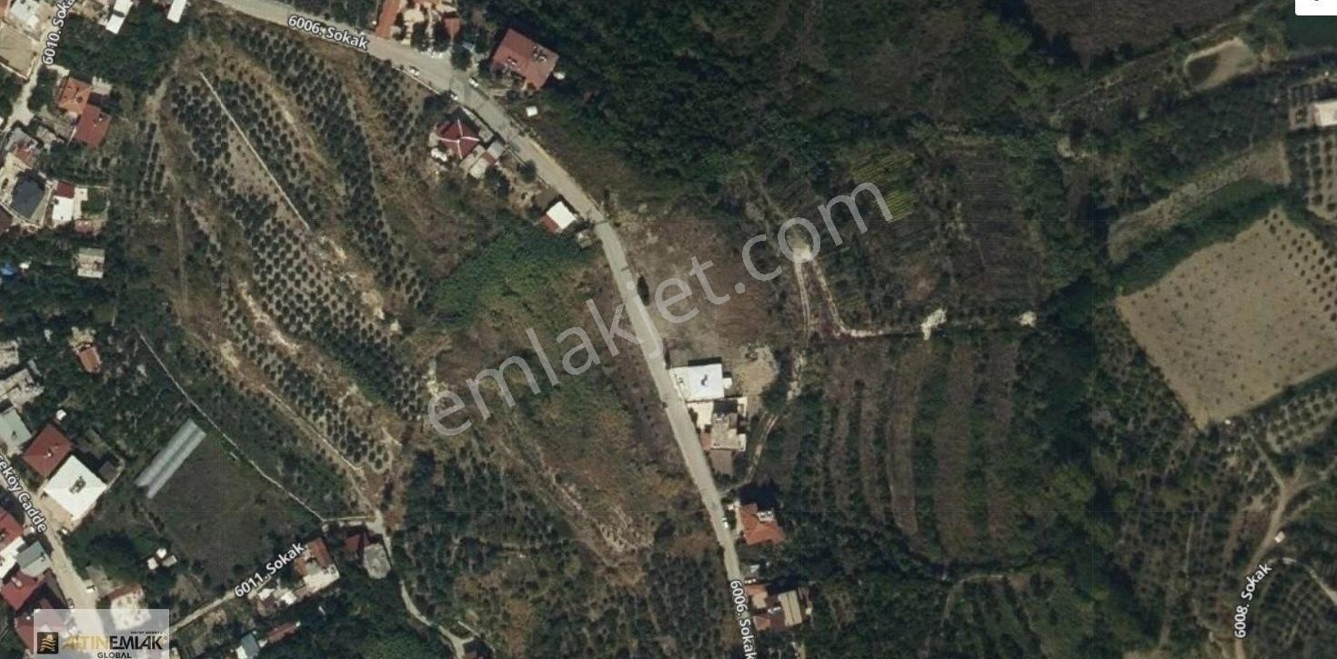 Doğayla İç İçe