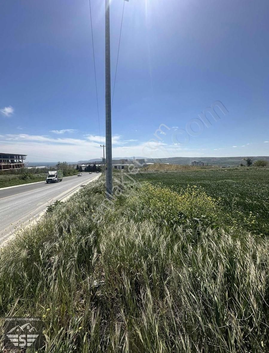 Tekirdağ Dumansız Sanayi De Satılık Arsa
