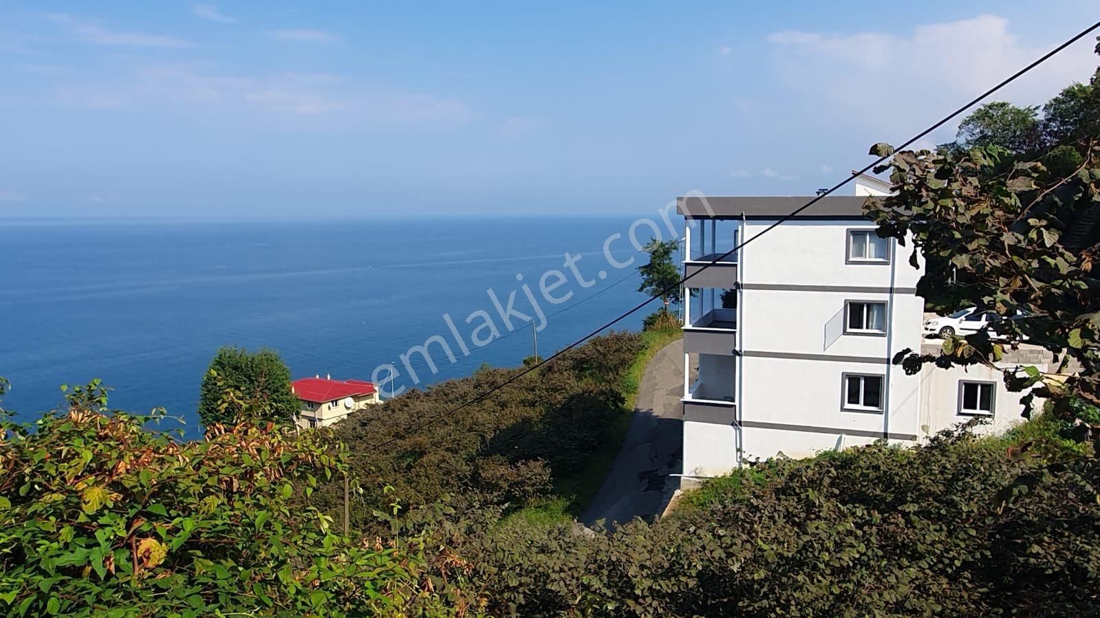 Giresun Görele Karaburunda Satılık Mustakıl 4katlı Bina Ve Fındık Bahçesi