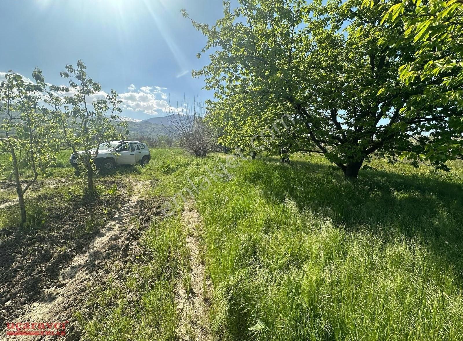 Uçaravcı'dan Edebey Mahallesinde 1250 M² Satılık Tarla