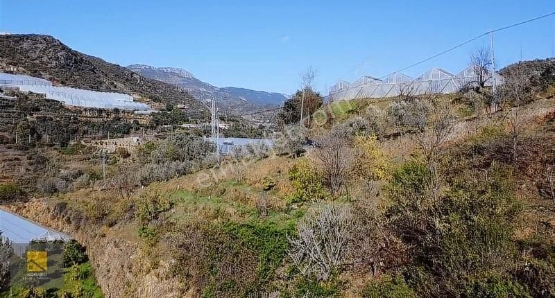 Alanya Soğukpınar Mahallesinde 3 Adet Ayrı Satılık Fırsat Tarla
