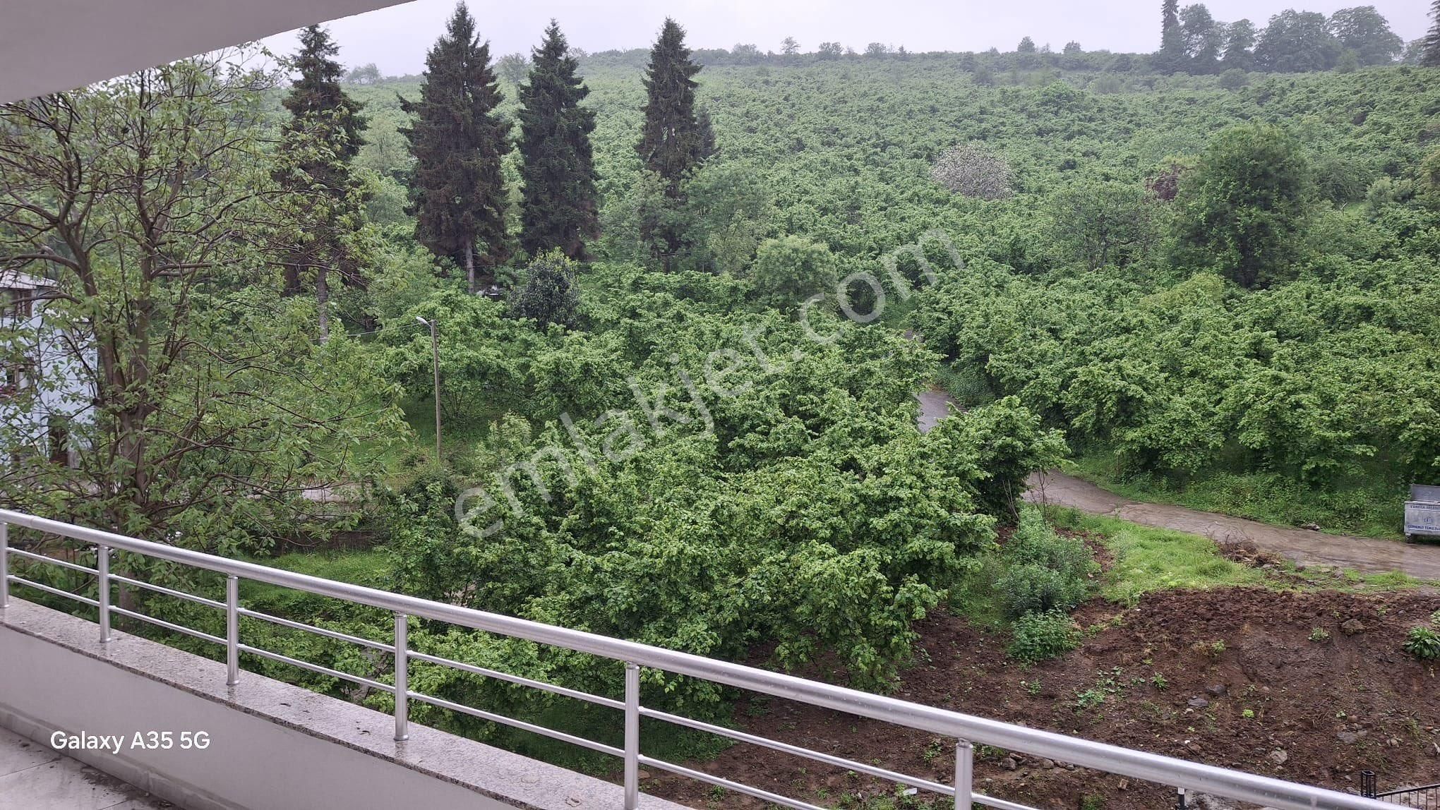 Detay Gayrimenkulden Kiralık Daire