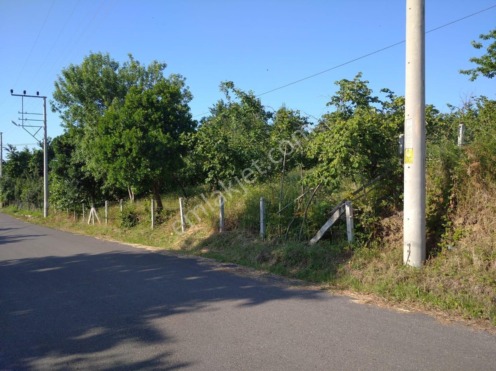 Karaburunda 3000m2 2,5 Kat Villa İmarlı Müstakil Tapu Arsa