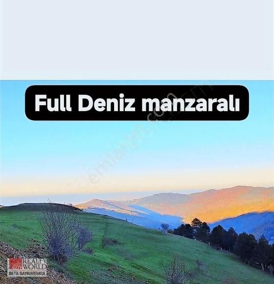 Rw.beta N/a'dan Samsun Alaçam Gülkaya Satılık Tarla 7348 M2