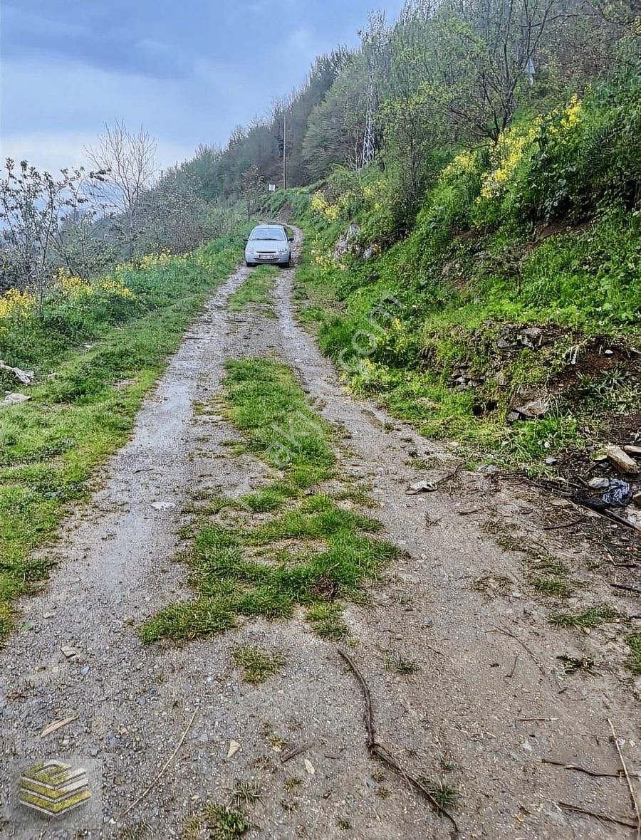 Ekipten İlkadım Çanakçıda Satılık Müstakil Ev Ve Tarlası